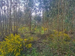 2024-02-25 Passeio TT Na Barragem de Salva Terra de Magos